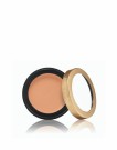 ENLIGHTEN CONCEALER thumbnail